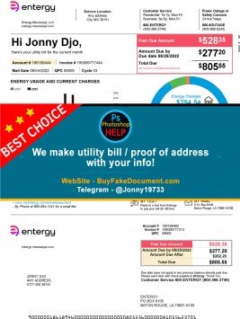 Entergy fake utility bill Sample